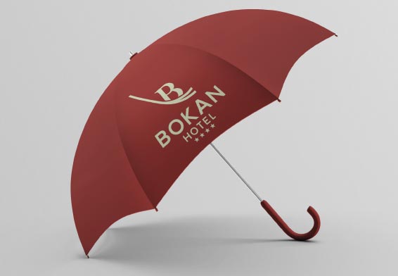 Bokan