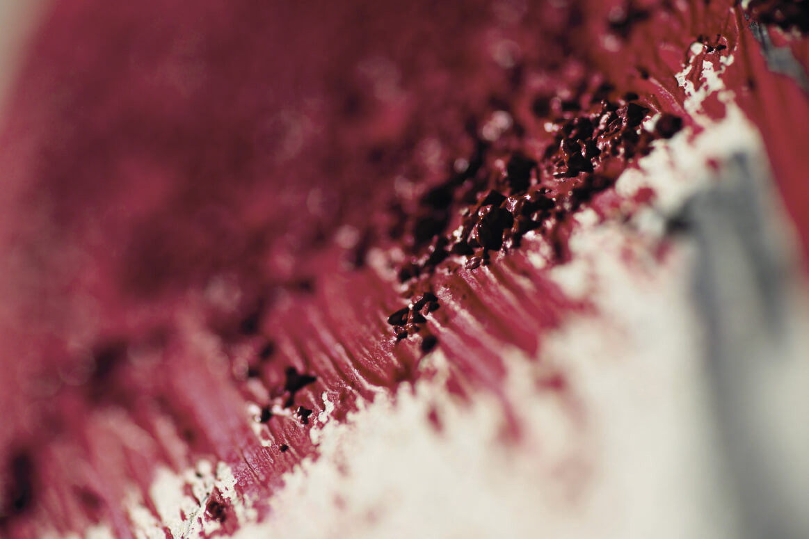 Polenta Magenta
